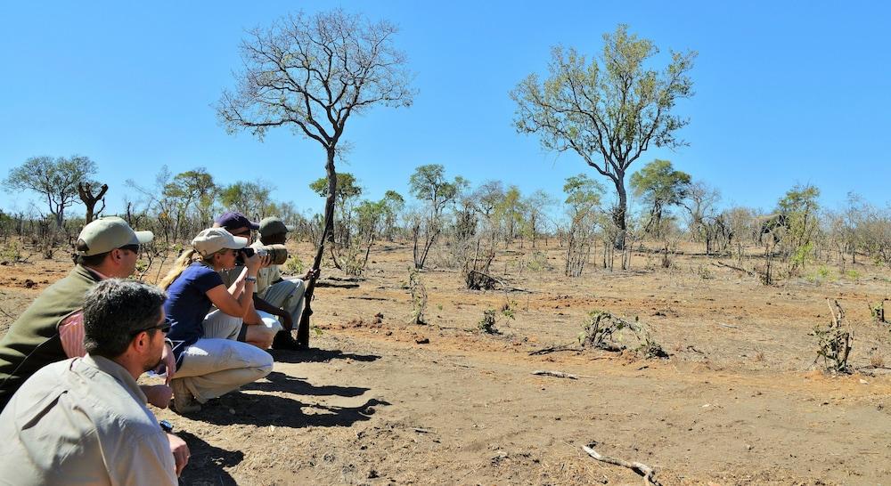 Hoyo Hoyo Safari Lodge Mluwati Concession Esterno foto