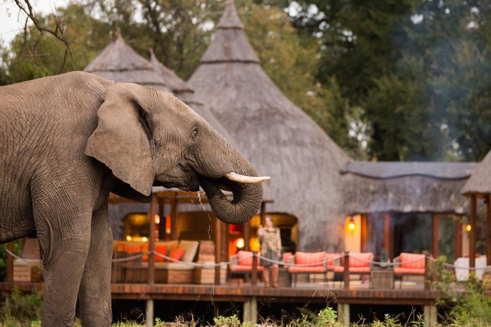 Hoyo Hoyo Safari Lodge Mluwati Concession Esterno foto
