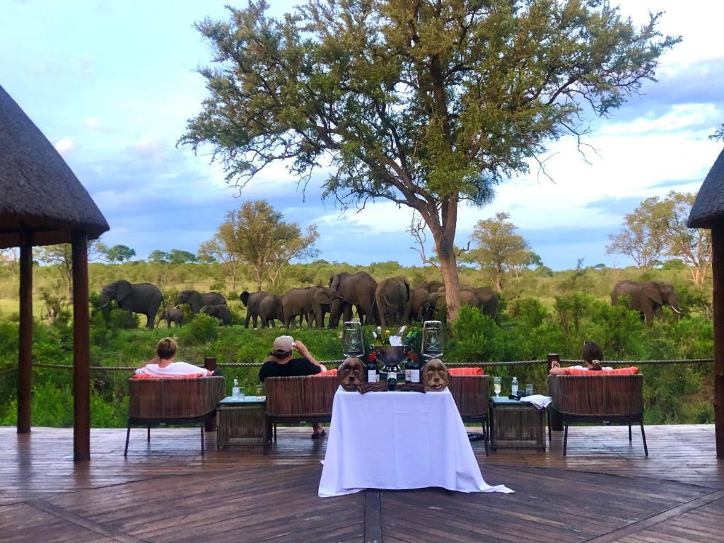 Hoyo Hoyo Safari Lodge Mluwati Concession Esterno foto