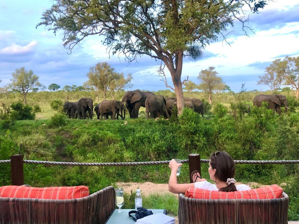 Hoyo Hoyo Safari Lodge Mluwati Concession Esterno foto